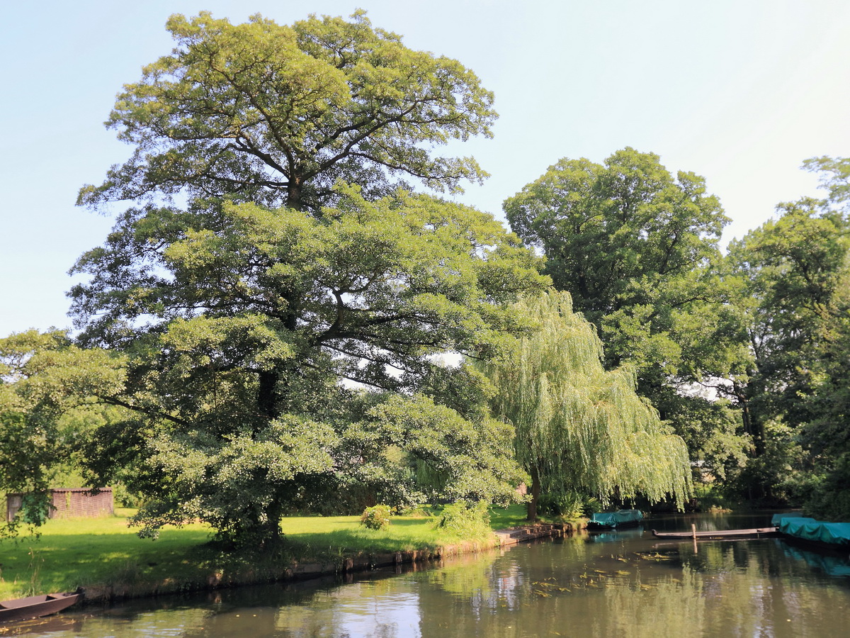 Blick am 24. Juli 2015 auf die Hauptspree vom kleinem Hafen am Spreeschlößchen in Lübbenau in der Spreestraße