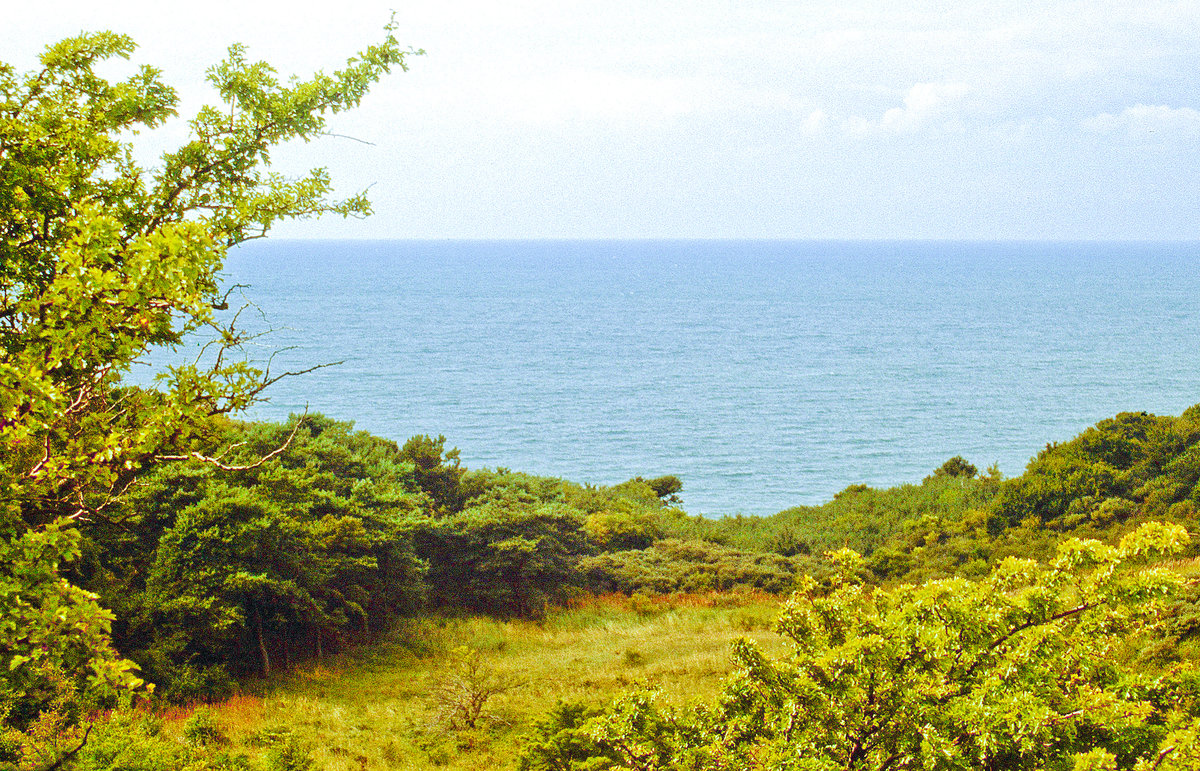 Blick am Svantevitschlucht auf der Insel Hiddensee. Bild vom Dia. Aufnahme: August 2001.