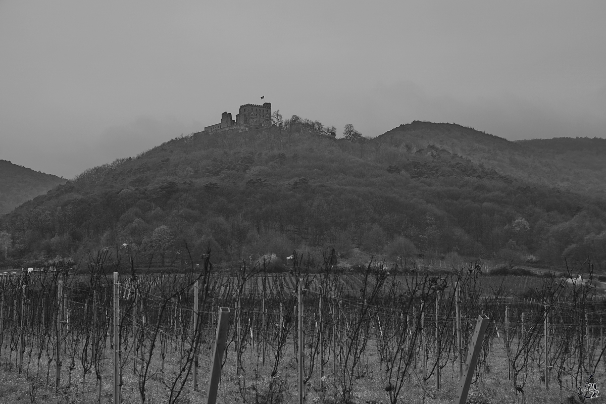 Blick auf den 379,2 Meter hohen Schlossberg mit dem Hambacher Schloss. (Dezember 2014)