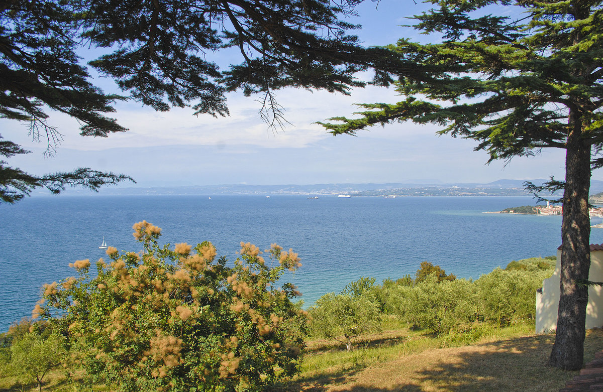 Blick auf das Adriatische Meer westlich von Izola. Aufnahme: 27. Juli 2016.