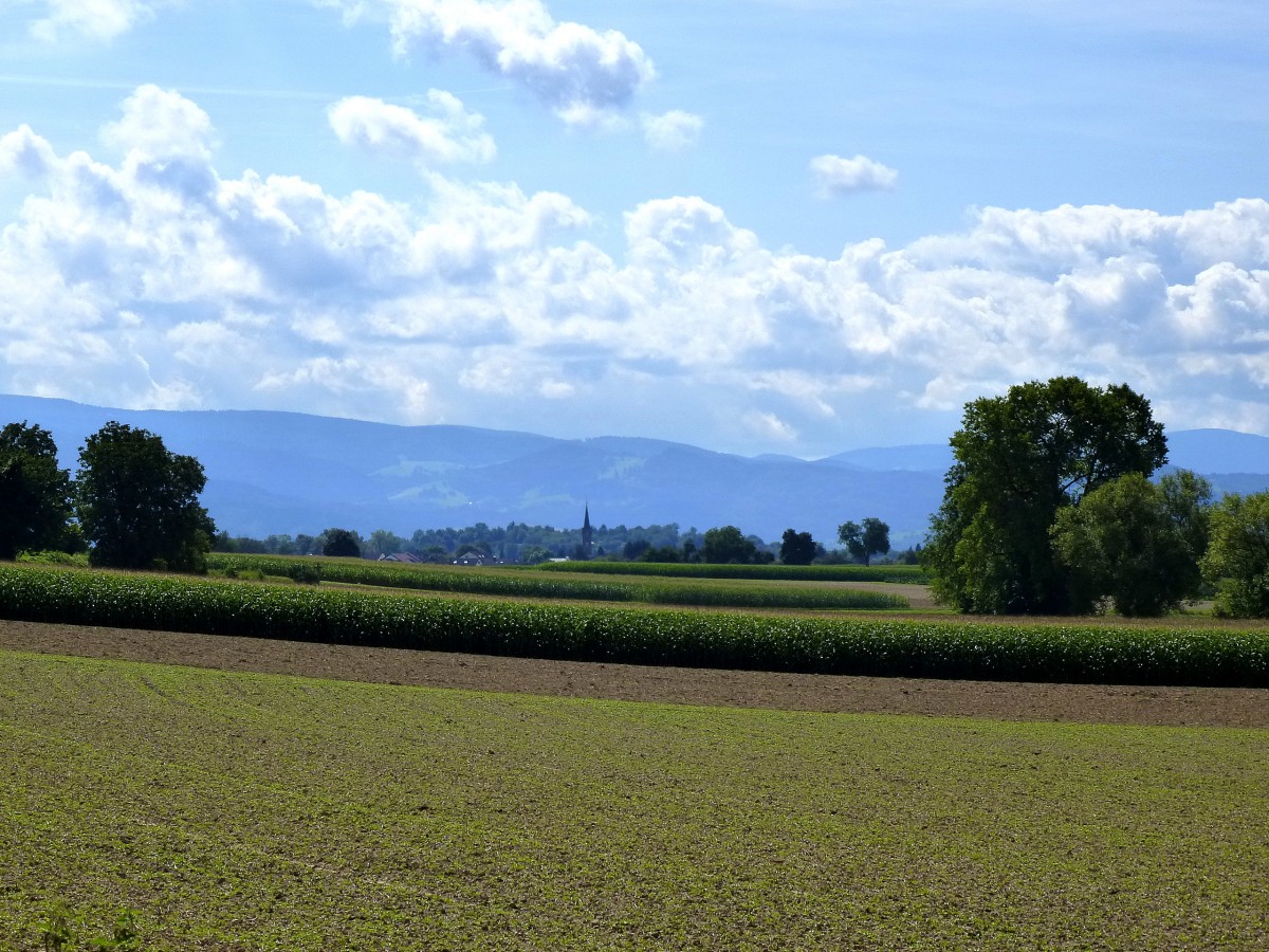 Blick auf Buchheim in der Rheinebene, am Horizont der Schwarzwald, Aug.2014