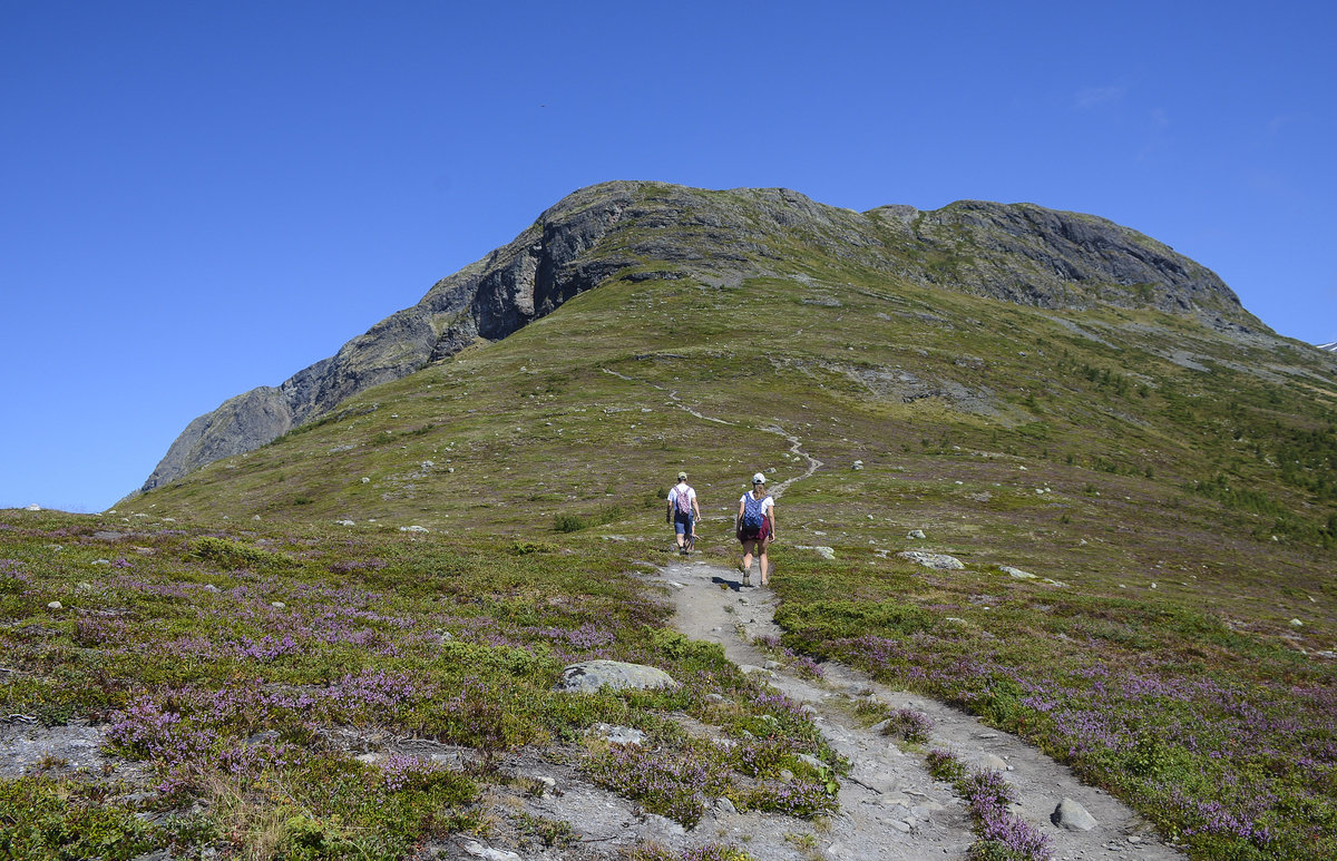 Blick auf dem Berg Røygrind (1365 Meter) vom Røyrgrindkleivi nördlich von Ausland. Von Røyrgrind hat mat eine schöne Aussicht über Aurlandsfjorden. Aufnahme: 16. Juli 2018.