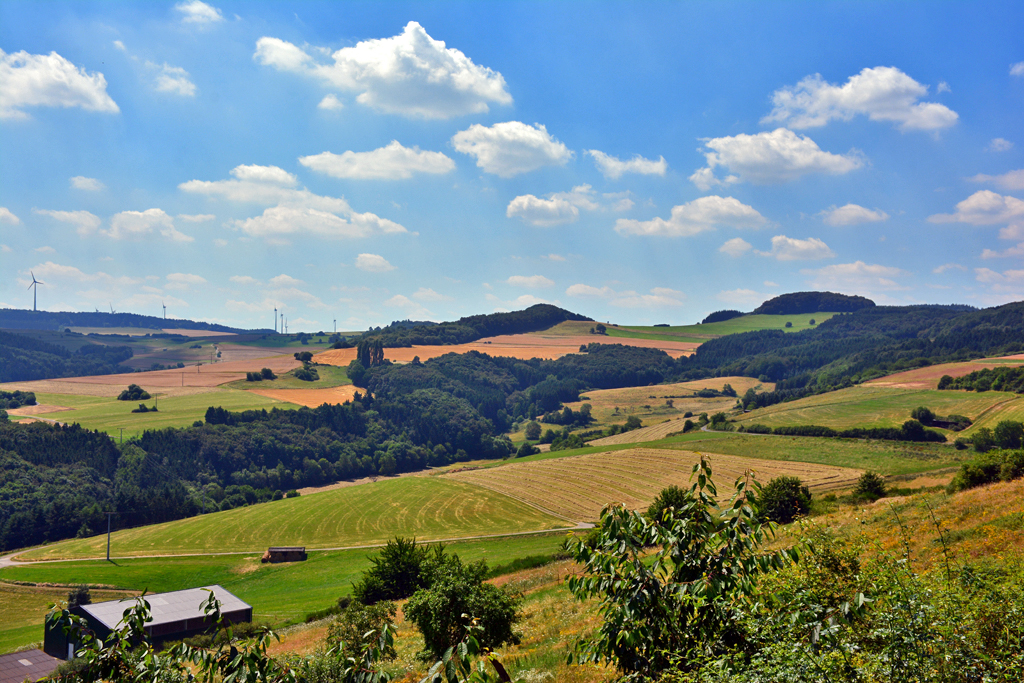 Blick auf die Eifellandschaft südwestlich von Niederdürrenbach (Krs. Ahrweiler) - 19.07.2016