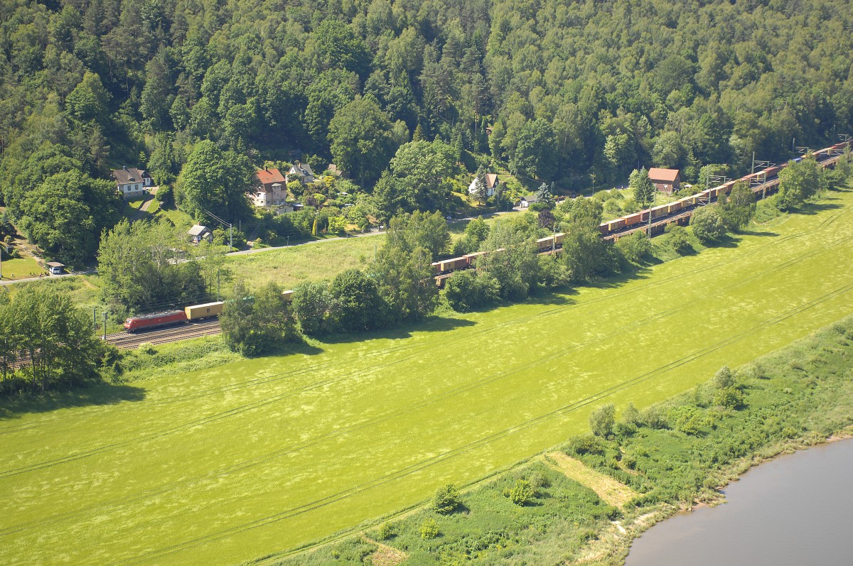 Blick auf das Elbufer östlich von Wählen. Aufnahme: Juni 2014.