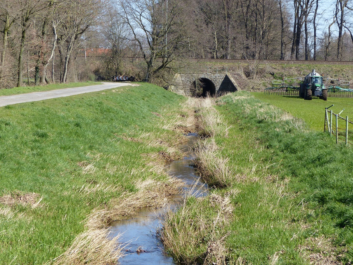 Blick auf den Elsbach in der Bauerschaft Hummeldorf bei Salzbergen, 24.03.2020