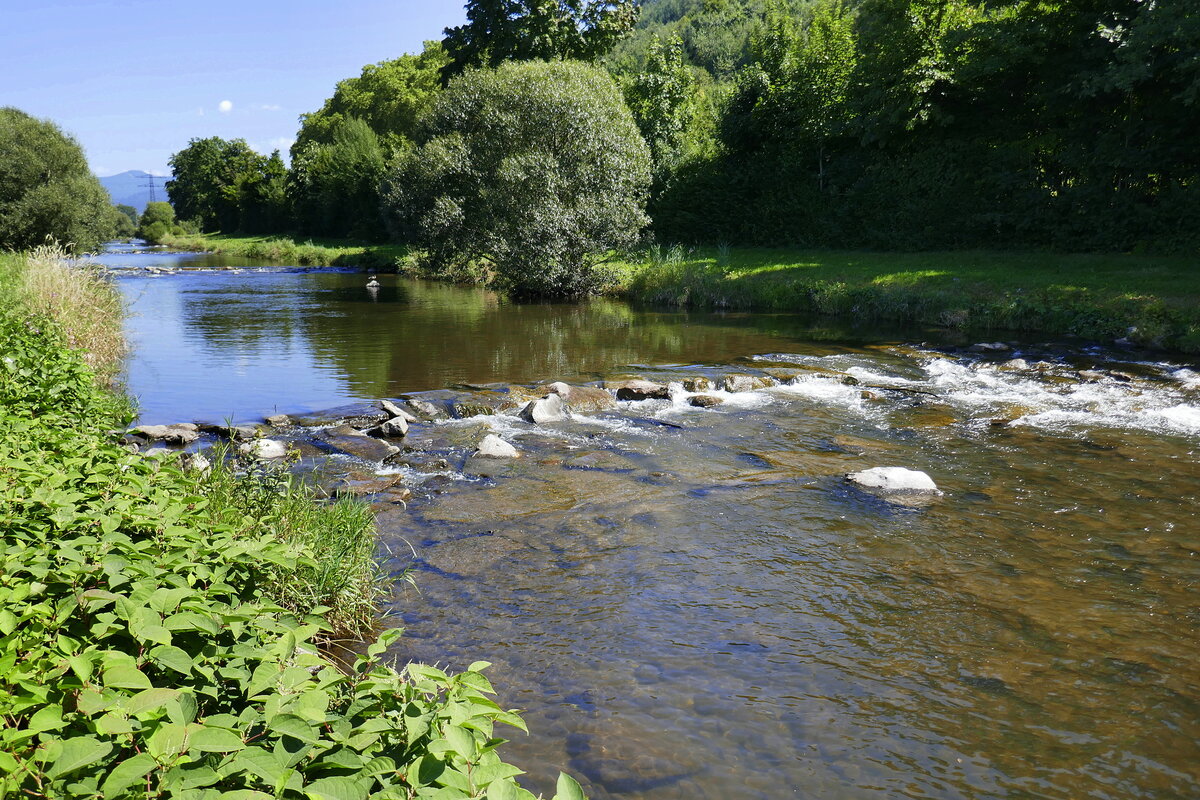 Blick auf die Elz flußaufwärts bei Waldkirch, Aug.2025