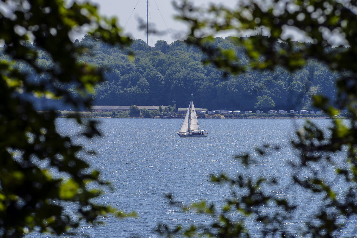 Blick auf die Flensburger Förde vom Kollunder Wald auf der dänischen Seite der Förde. Aufnahme: 11.Juni 2023.
