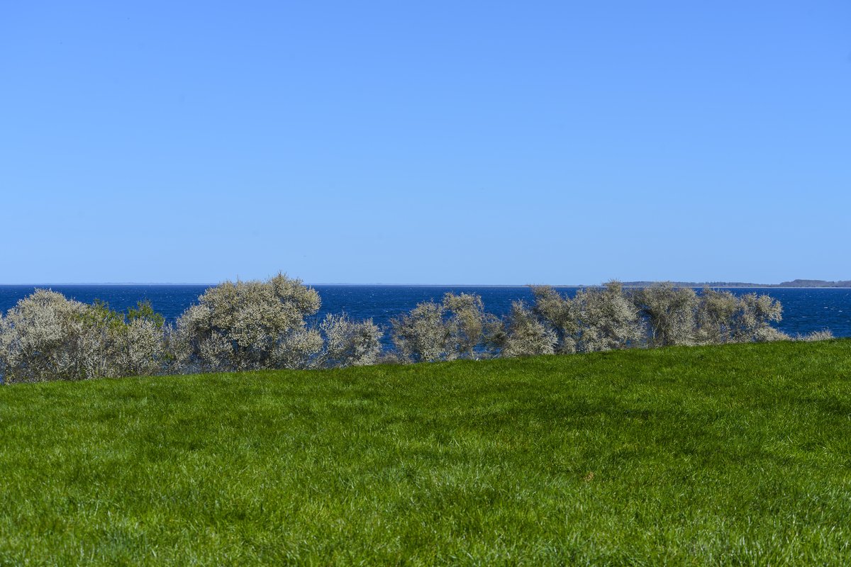 Blick auf Flensburger Förde von Norgaardholz bei Gelting. Aufnahme: 21. April 2020.