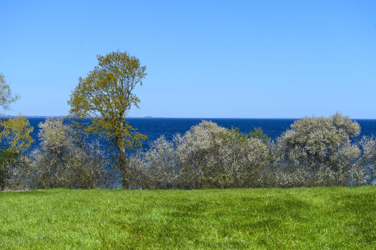 Blick auf Flensburger Förde von Norgaardholz bei Gelting. Aufnahme: 21. April 2020.