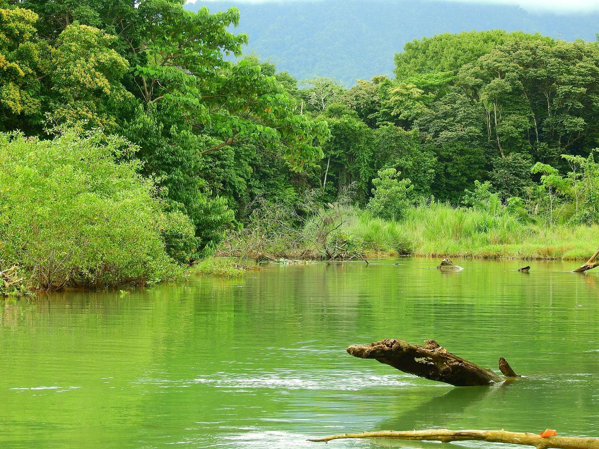 Blick auf den Flusslauf des Rio Balso, in der Region Puntarenas, in Costa Rica. Foto vom August 2016.