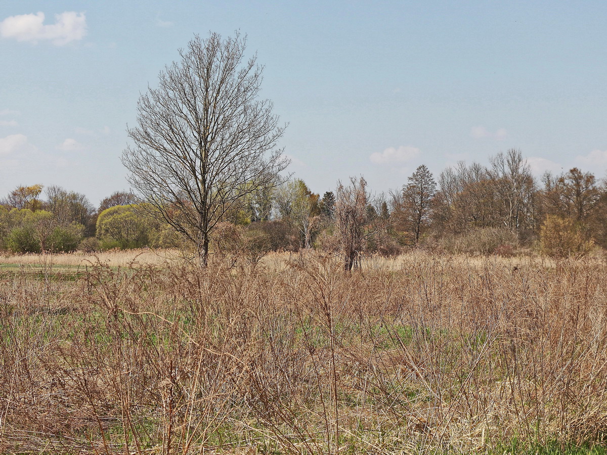 Blick auf das Gelände bzw. der Landschaft vom Wulzenplan in Zossen am 28. April 2021.