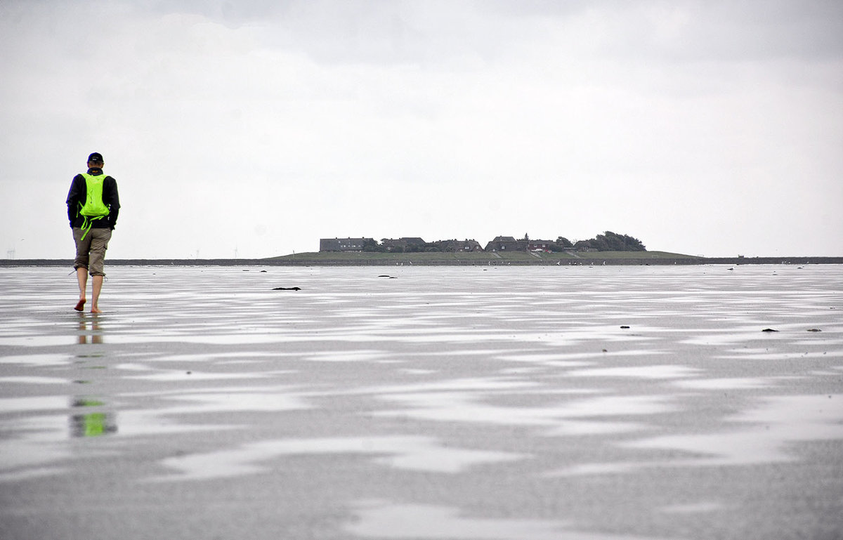 Blick auf die Hallig Oland vom Wattenmeer vor Dagebüjl (Nordfriesland) aus gesehen. Weite Flächen eines Wattenmeeres fallen regelmäßig zweimal täglich während der Niedrigwasserzeit (Ebbe) trocken und sind während der Hochwasserzeit (Flut) überflutet. Die bei Ebbe trocken fallenden Flächen bezeichnet man als Wattflächen. 

Aufnahme: 25. Juni 2017.