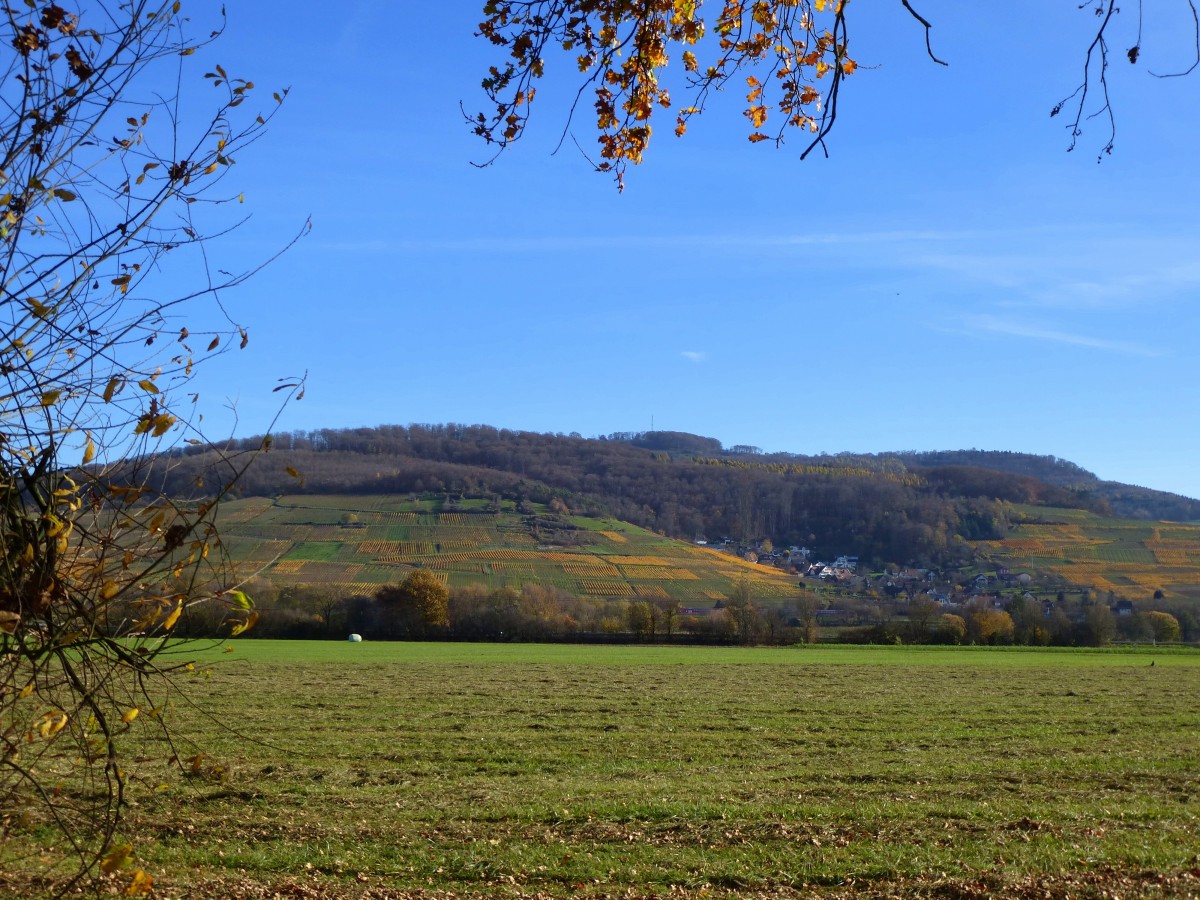 Blick auf die herbstlichen Weinhänge am westlichen Schönberg, mit der Ortschaft Leutersberg, Nov.2015