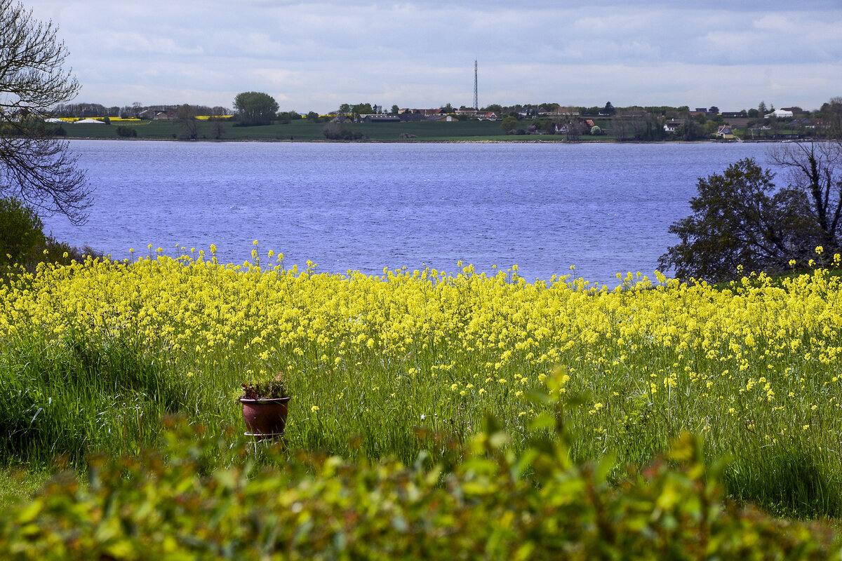 Blick auf Höruphaff (Høruphav) südlich von der Insel Alsen (Nordschleswig). Aufnahme: 20. Mai 2021.