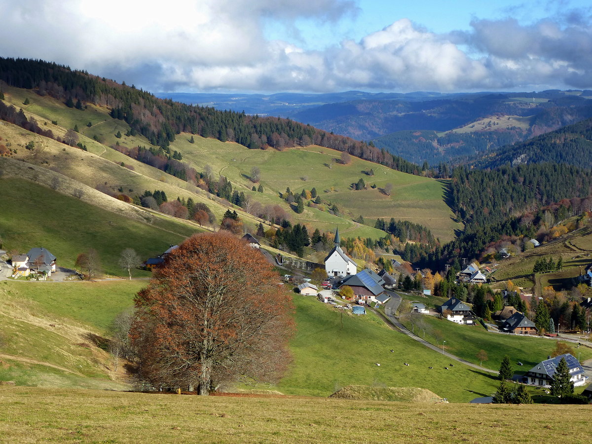 Blick auf Hofsgrund am Südabhang des 1284m hohen Schauinslands im Schwarzwald, Nov.2015