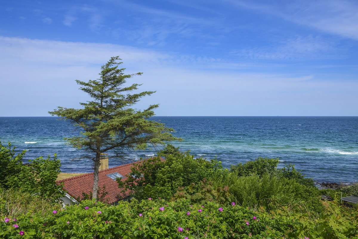 Blick auf das Kattegat vom Wanderweg Gilbjergstien in Gilleleje, Nordseeland. Aufnahme: 22. Juni 2023.