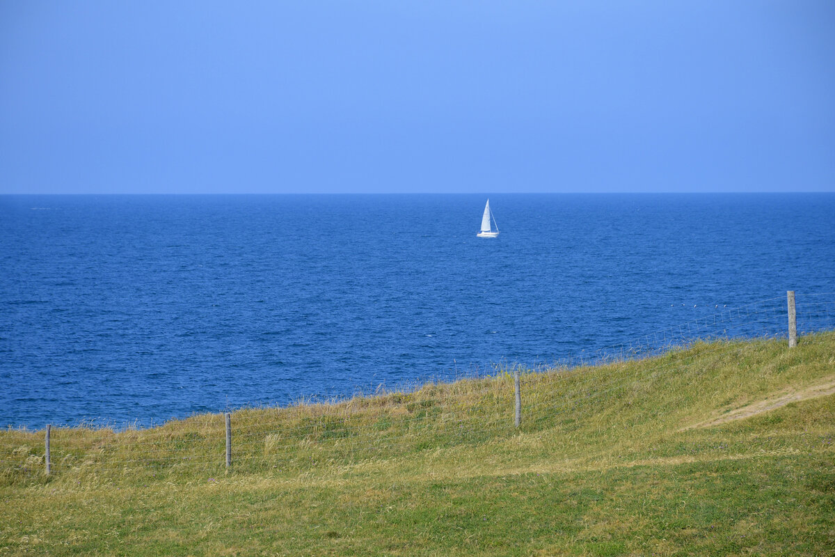 Blick auf Kattegatt vom Naturschutzgebiet Heatherhill in Nordseeland. Aufnahme: 22. Juni 2023.