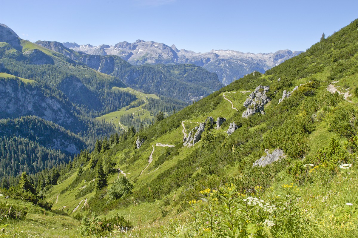 Blick auf Königsberg und Königsberg Alm im Berchtesgadener Land. Aufnahme: Juli 2008.