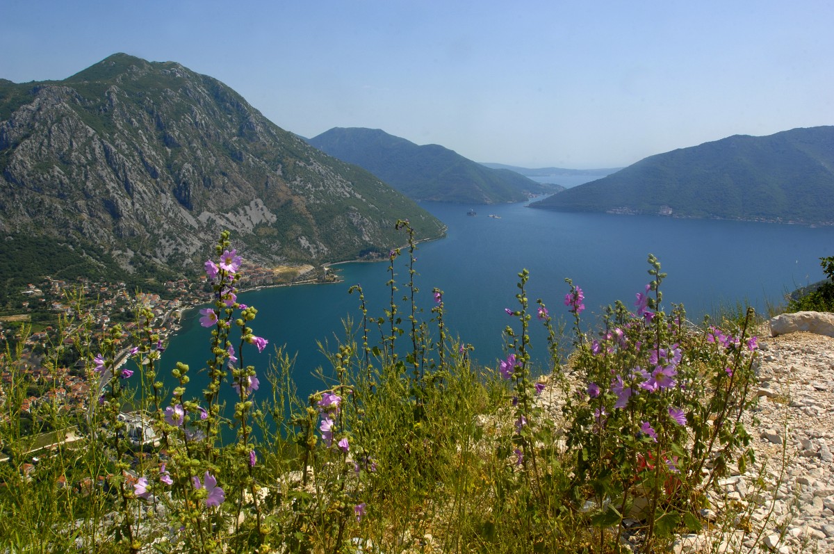 Blick auf die Kotor Bucht von der Hauptstraße M4. Aufnahme: 1. Juli 2012.