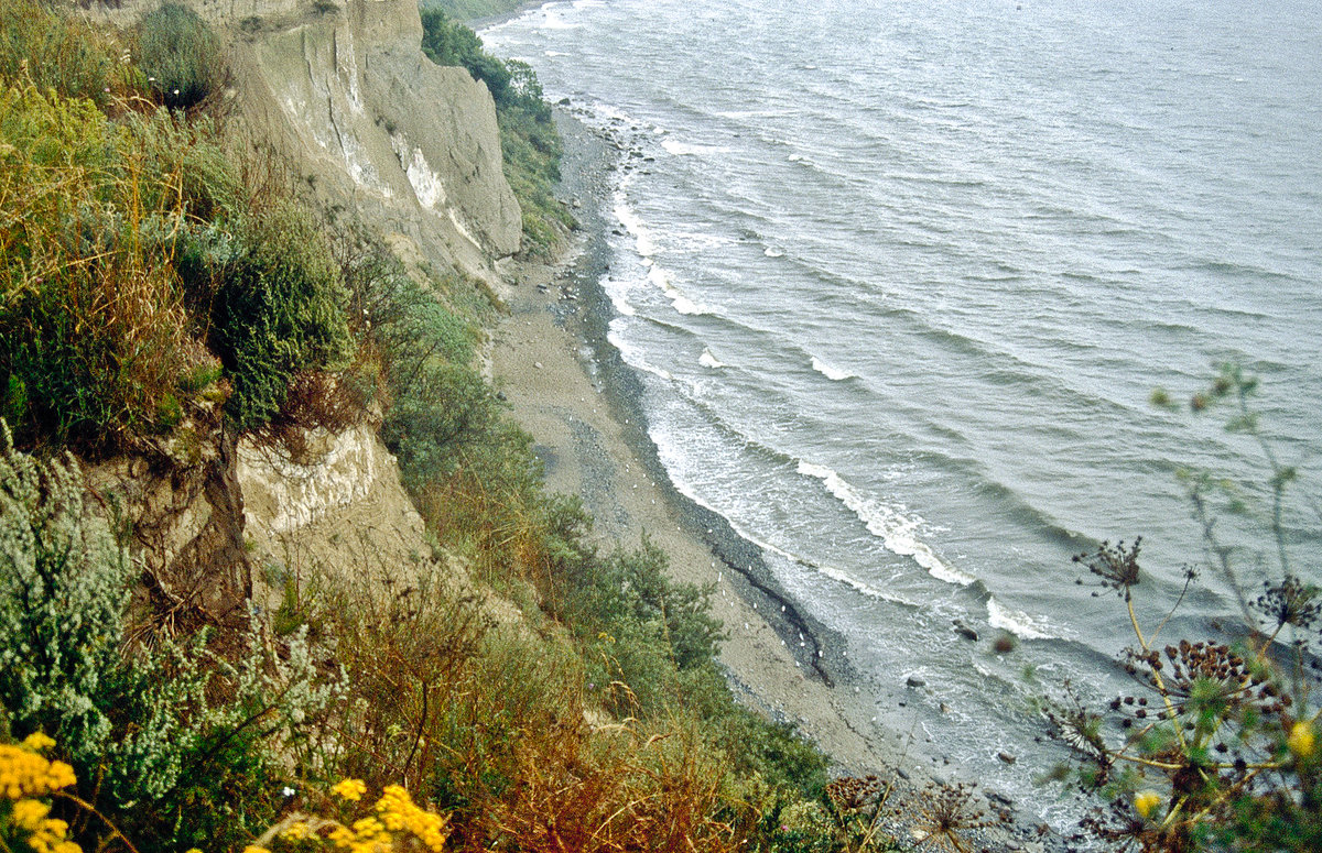 Blick auf das Küstengewässer bei Kap Arkona auf Rügen. Bild vom Dia. Aufnahme: August 2001.