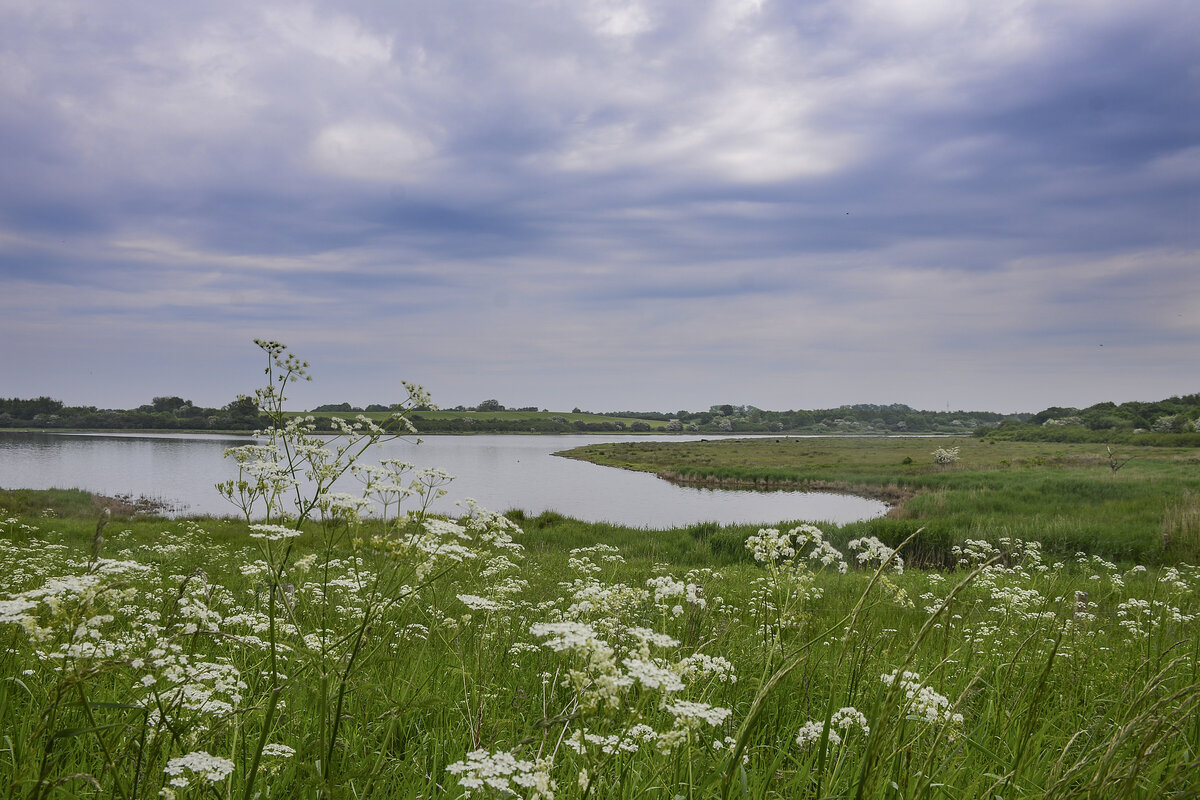 Blick auf das Naturschutzgebiet Geltinger Birk in Nordangeln. 7. Juni 2021.