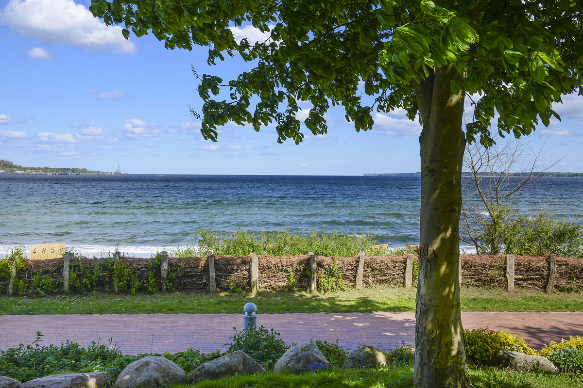 Blick auf die Ostsee vom Eckernförder Kurpark. Aufnahme: 11. Mai 2020.