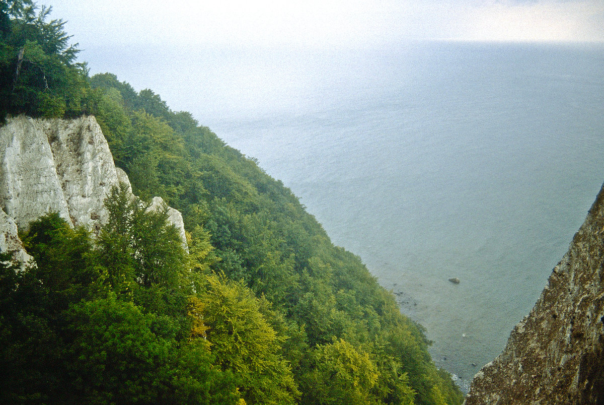 Blick auf die Ostsee vom Hochuferweg bei Königsstuhl auf Rügen. Bild vom Dia. Aufnahme: August 2001.