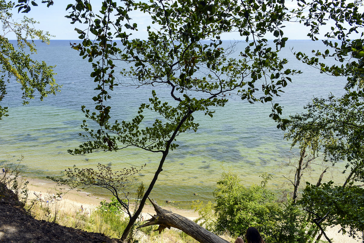 Blick auf die Ostsee vom Rezerwat Kępa Redłowska südlich von Gdynia (deutsch: Gdingen). Aufnahme: 15. August 2019.