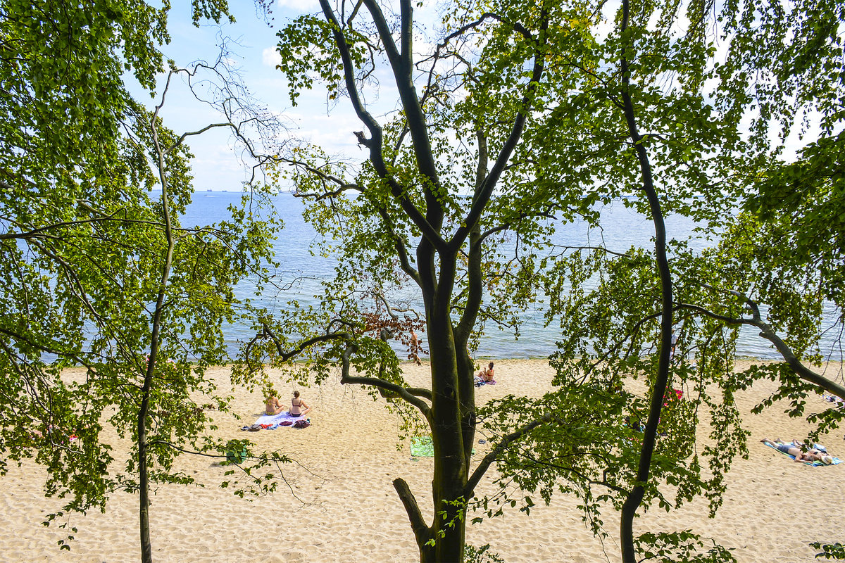 Blick auf die Ostsee vom Wald »Kępa Redłowska« südlich von Gdingen/Gdynia. Aufnahme: 15. August 2019.