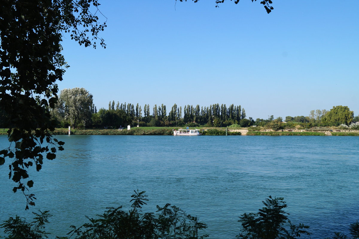 Blick auf die Rhone im sommerlichen Avignon, 11.09.2018.