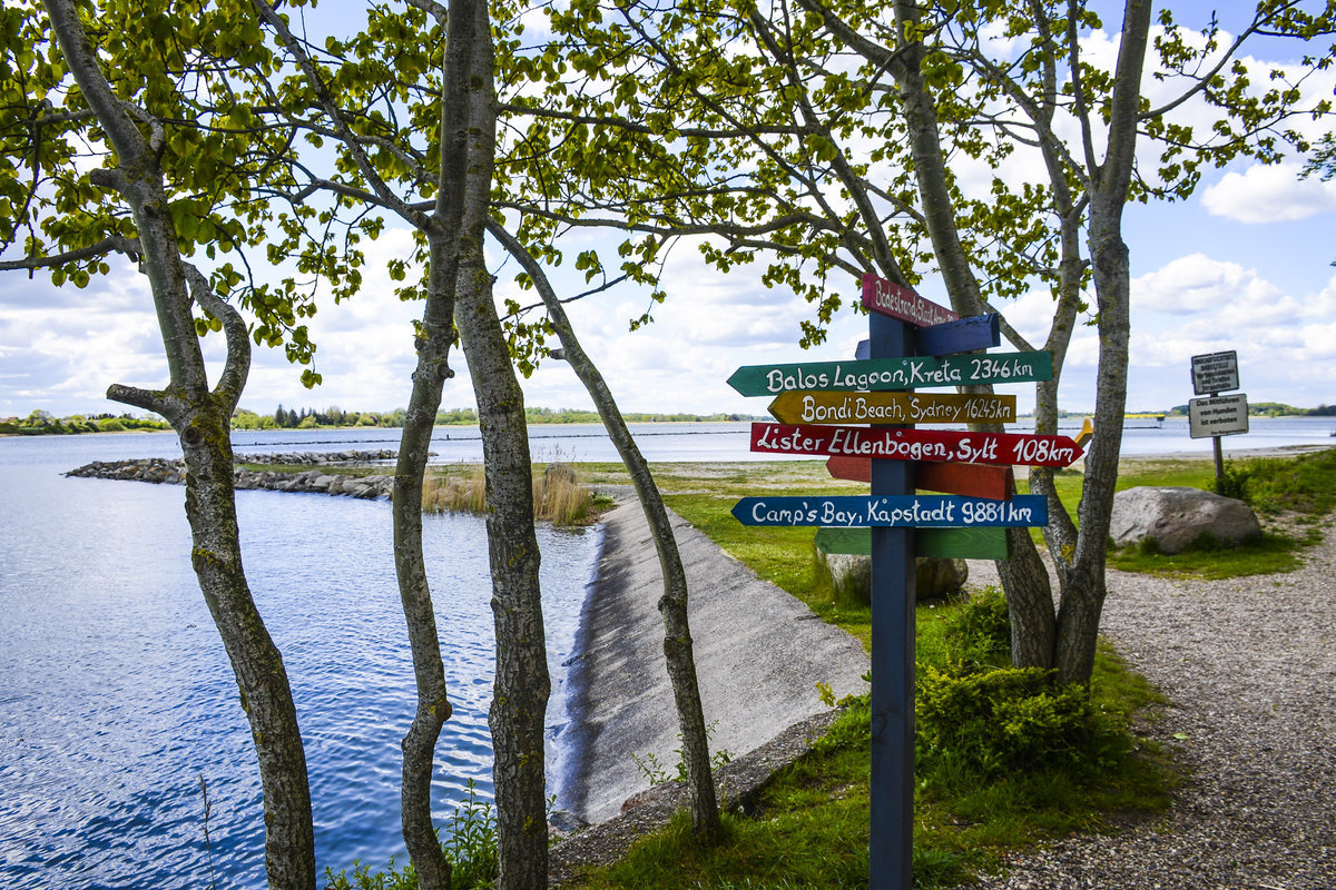 Blick auf die Schlei vom Arnisser Strandweg. Aufnahme: 11. Mai 2020.