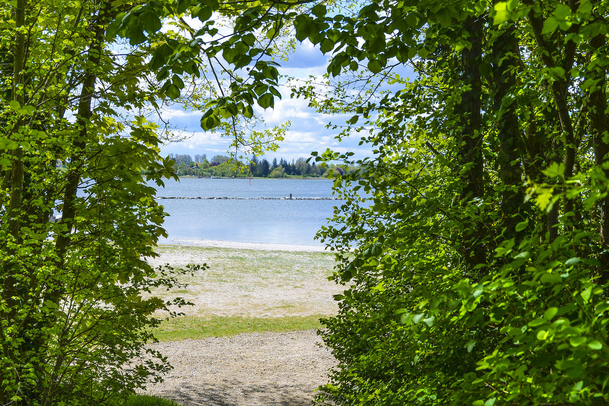 Blick auf die Schlei vom Arnisser Strandweg. Aufnahme: 11. Mai 2020.