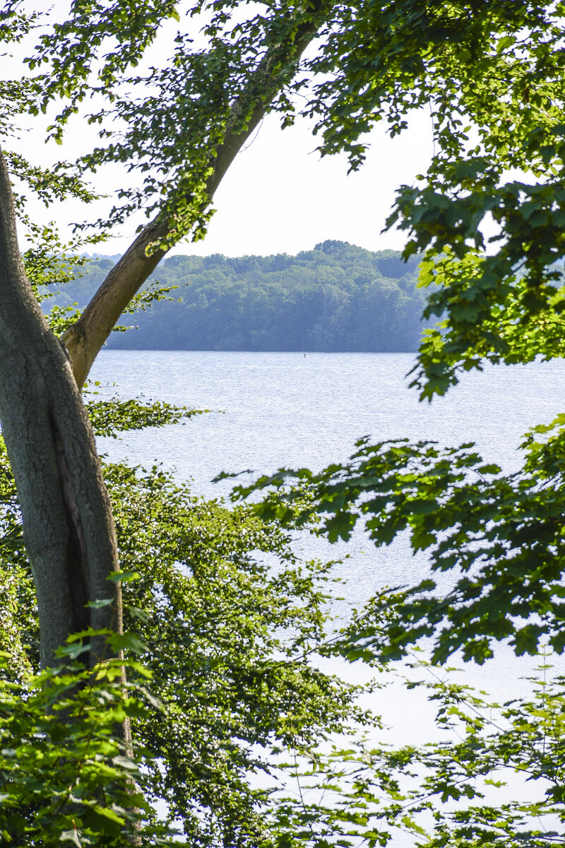 Blick auf Schweriner See vom Wald an der Jugendherberge. Aufnahme: 17. Juni 2022.