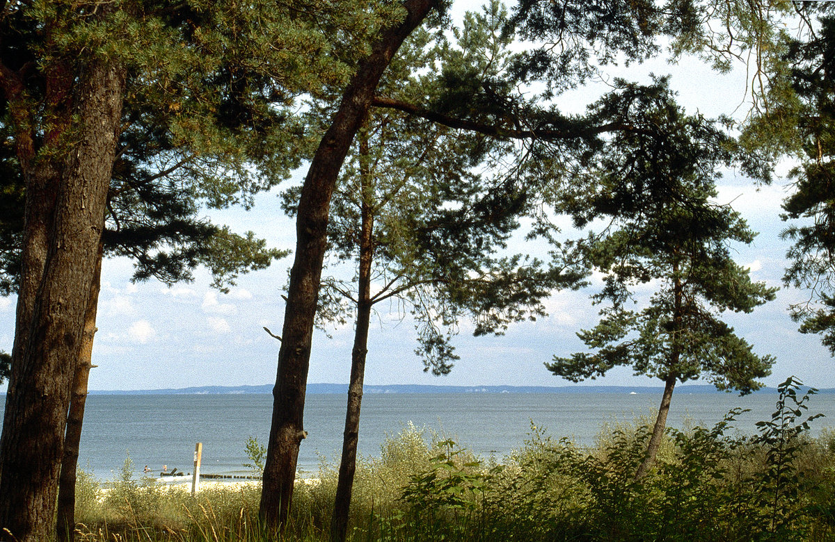 Blick auf den Strand und die Ostsee bei Bansin auf Rügen. Bild vom Dia. Aufnahme: August 2001.