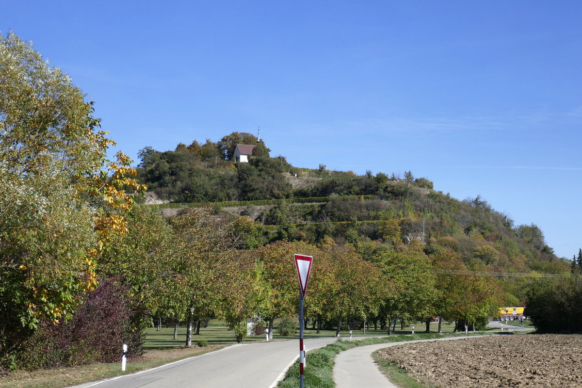 Blick auf den südlichen Teil des Tuniberges mit der Erentrudiskapelle auf dem 271m hohen Kapellenberg, Okt.2018