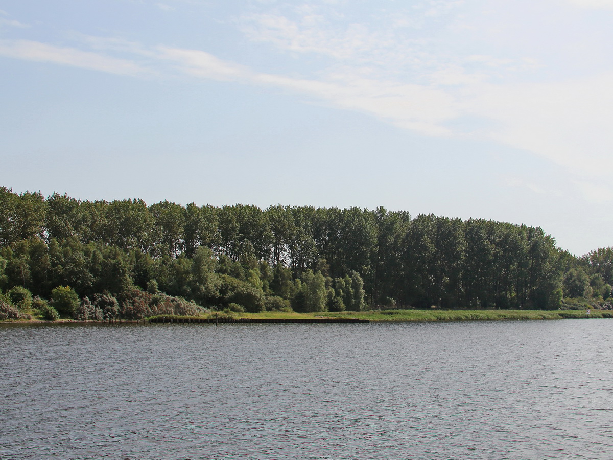 Blick auf das Ufer der Unterwarnow (erstreckt sich von der Rostocker Altstadt bis Warnemünde) bei  Krummendorf (ist ein Ortsteil im Nordosten von Rostock und gehört zum Stadtteil Rostock-Ost) am 30. August 2017.