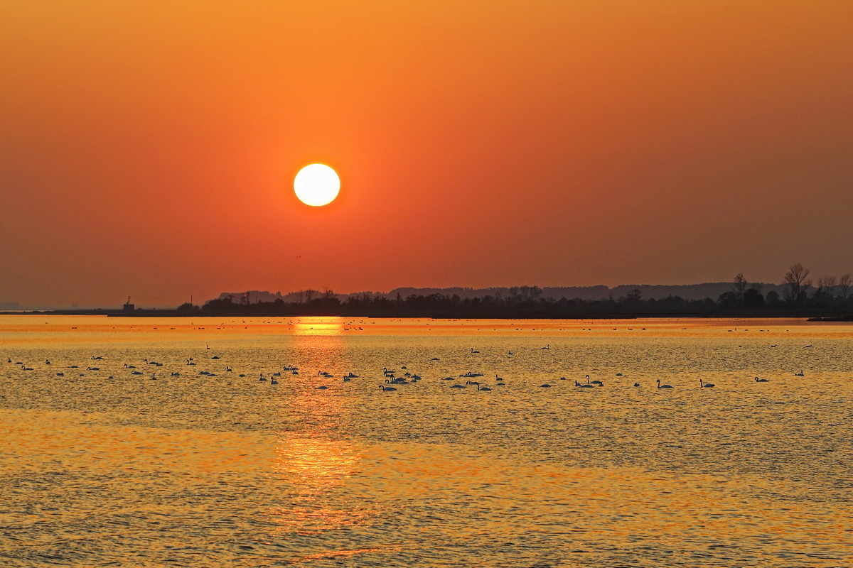 Blick auf die untergehende Sonne über die Ostsee am 22 September 2020.