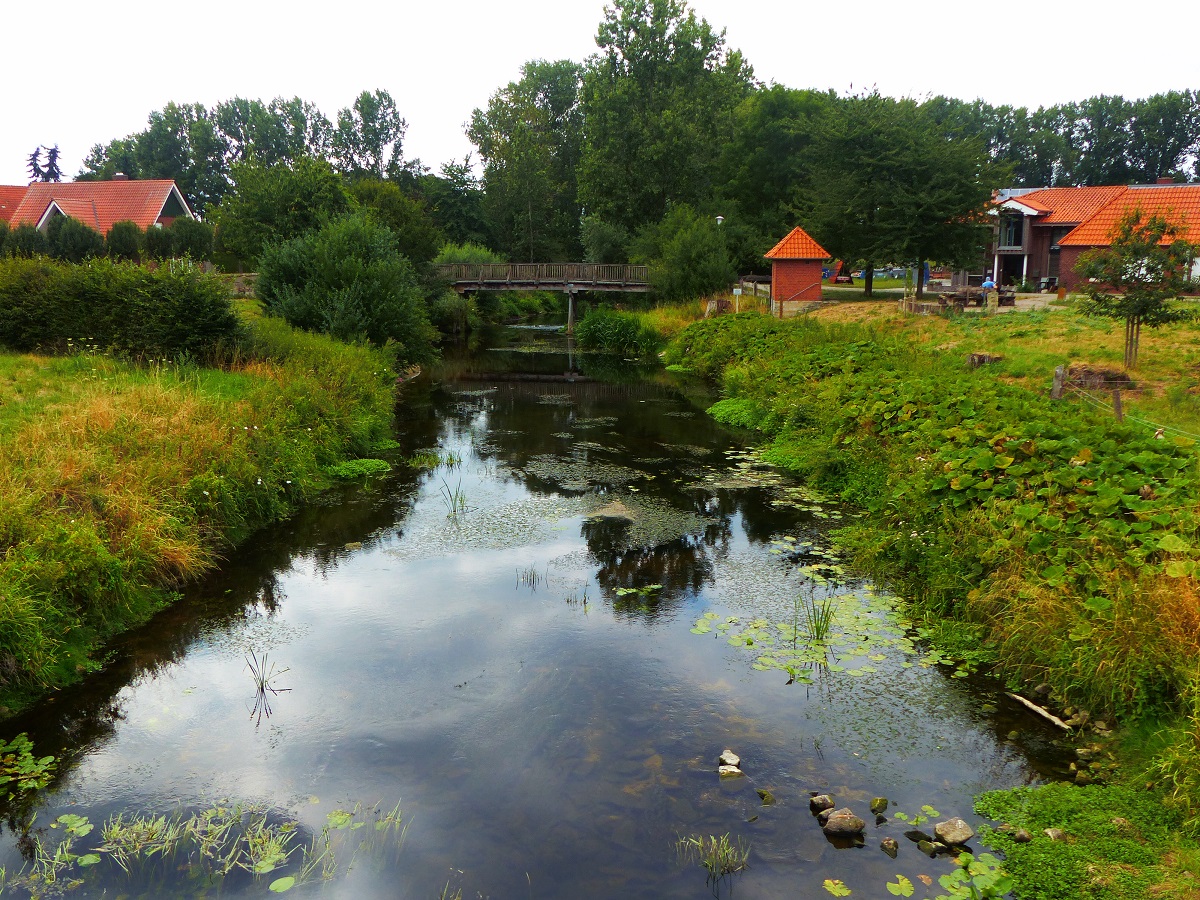 Blick auf die Vechte in Ohne, 29.07.2019