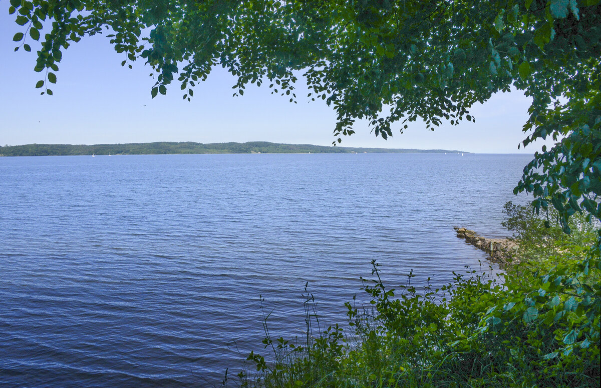 Blick auf Vejle Fjord von Gauerslund Skov. Aufnahme: 5. Juni 2022.