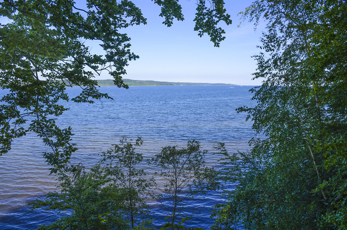 Blick auf Vejle Fjorr von Gauerslund SKov. Aufnahme: 5. Juni 2022.