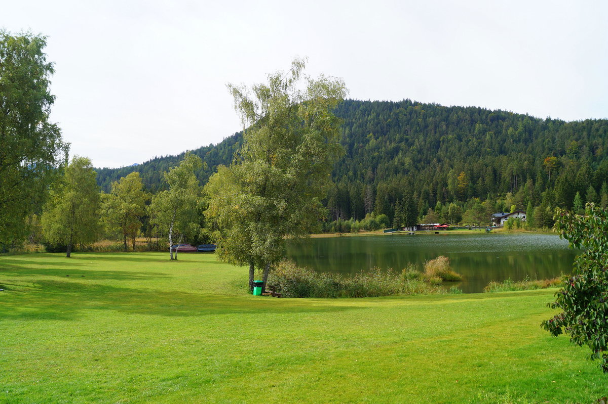 Blick auf den Wildsee in Seefeld in Tirol. Charakteristisch für die Moorlandschaft sind die zahlreichen Birkenbäume. 27.09.2019.