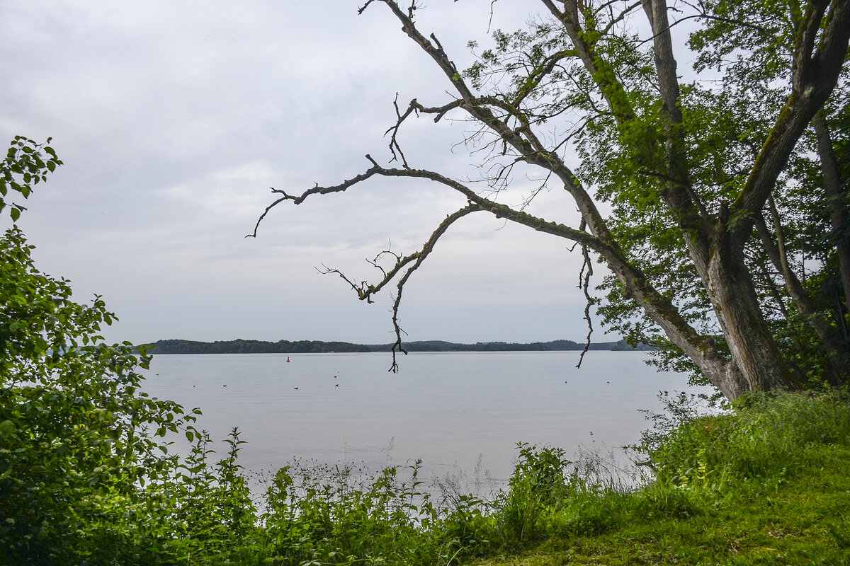Blick AufSchweriner See vom Franzosenweg in Schwering. Aufnahme: 17. Juni 2022.