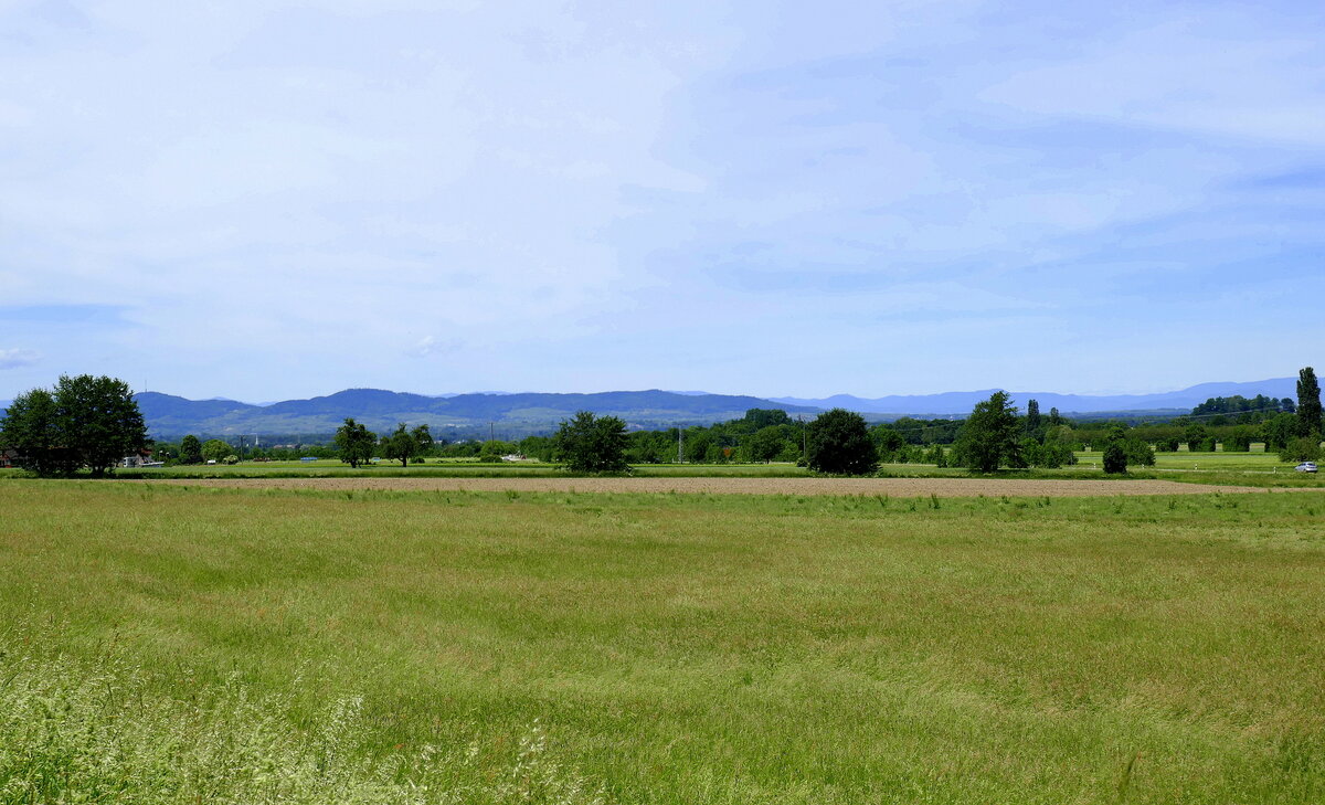 Blick aus dem Glottertal im Schwarzwald in die Rheinebene, links der Kaiserstuhl, rechts am Horizont die Vogesen, Mai 2022