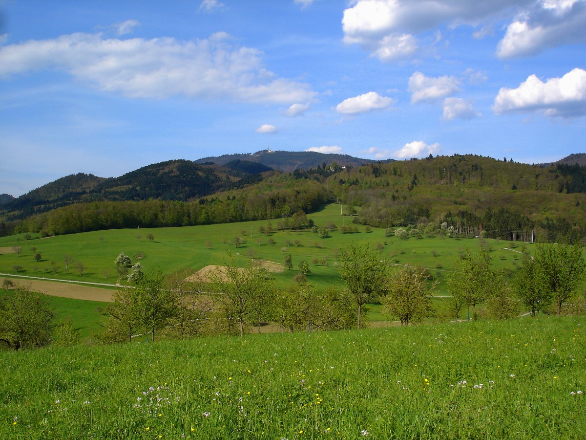 Blick aus dem Markgrflerland zum 1165m hohen Hochblauen im Sdschwarzwald, April 2005