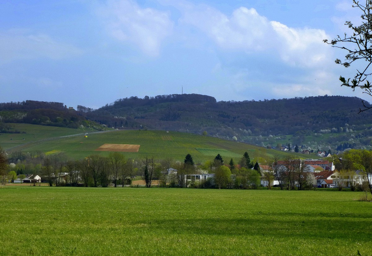 Blick aus der Rheinebene bei Wolfenweiler zum 645m hohen Schnberg, April 2014