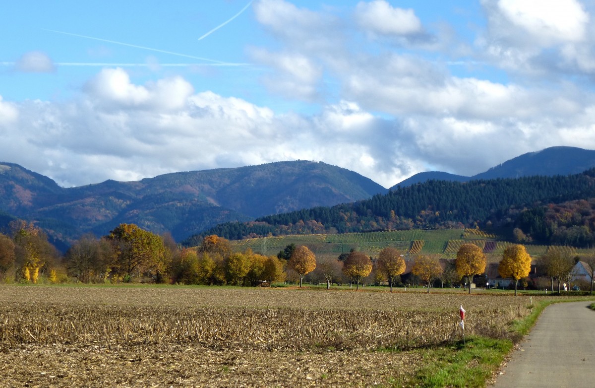 Blick aus der Rheinebene zum Schwarzwald, rechts der Weinort Wettelbrunn, Nov.2015