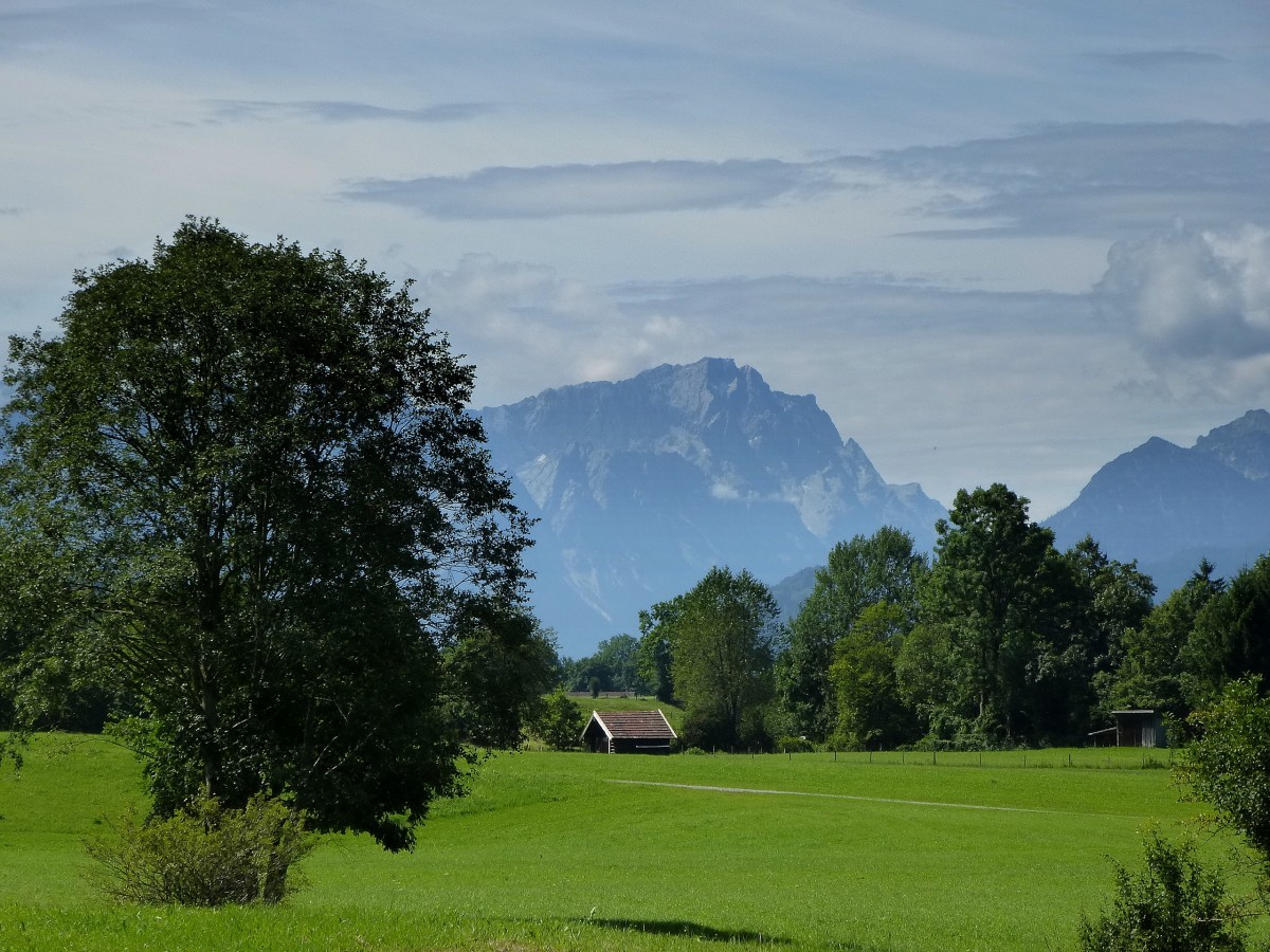 Blick aus Richtung Ohlstadt zum Zugspitzmassiv, Aug.2014