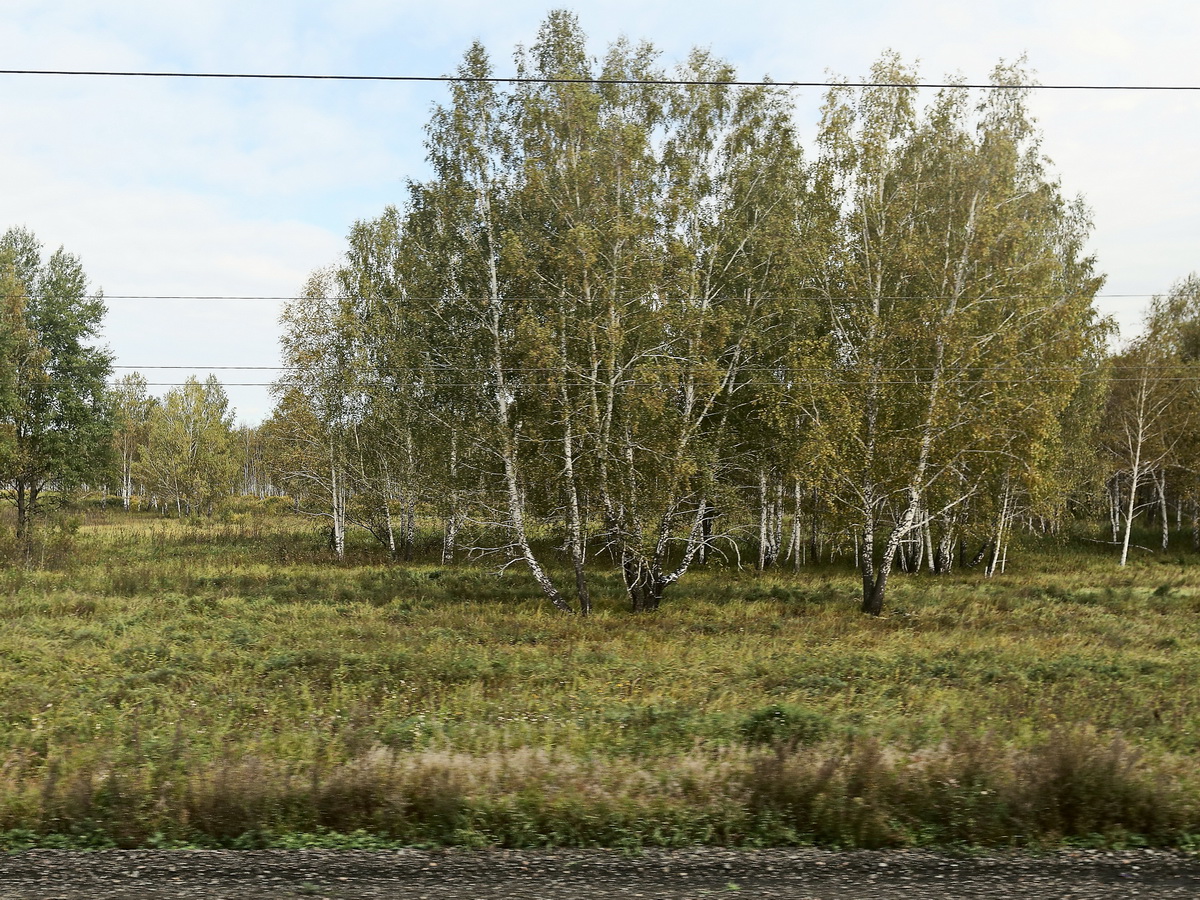 Blick aus der Transsibirischen Zug No 44 auf dem Weg nach Nowosibirsk am 13. September 2017.