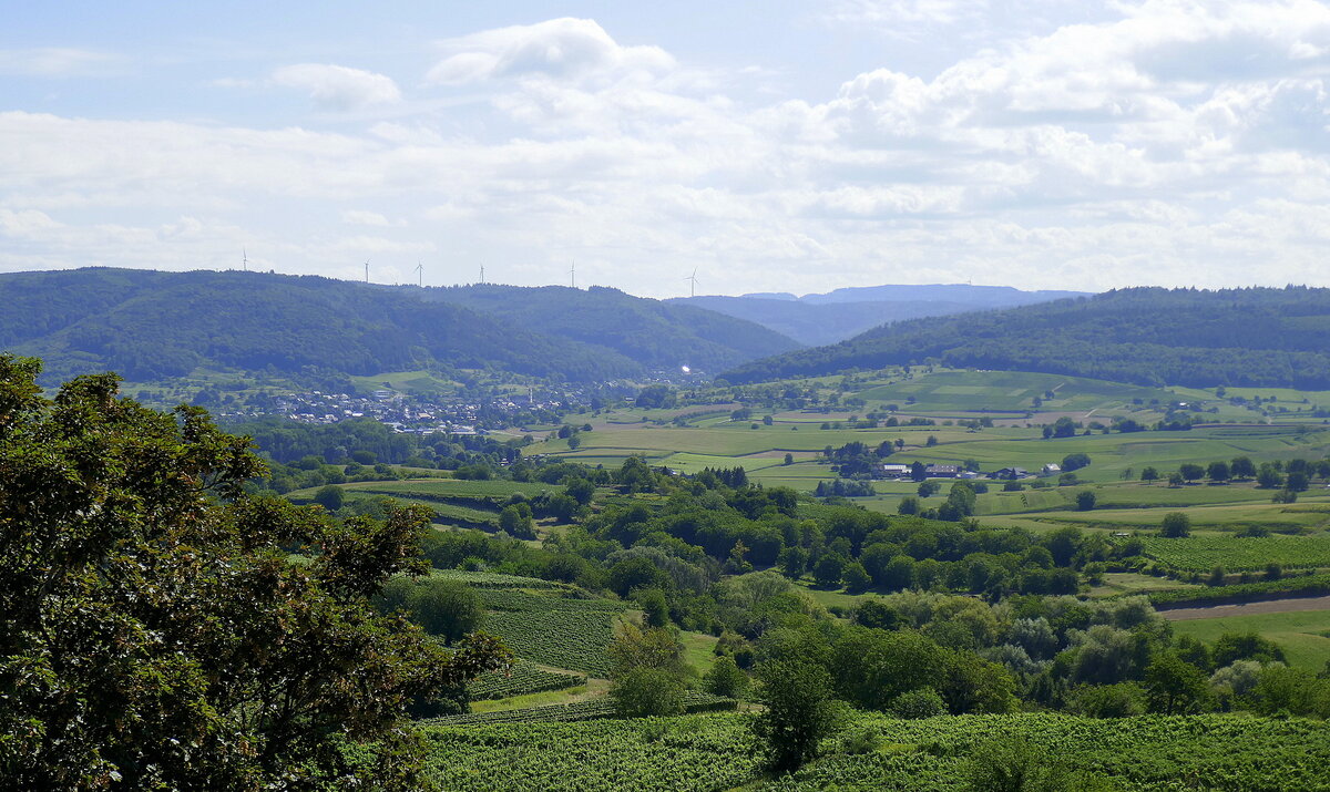 Blick von der Aussichtsplattform auf dem 282m hohen Heuberg Richtung Ost, auf den Ort Ettenheimmünster und den Schwarzwald, Aug.2022