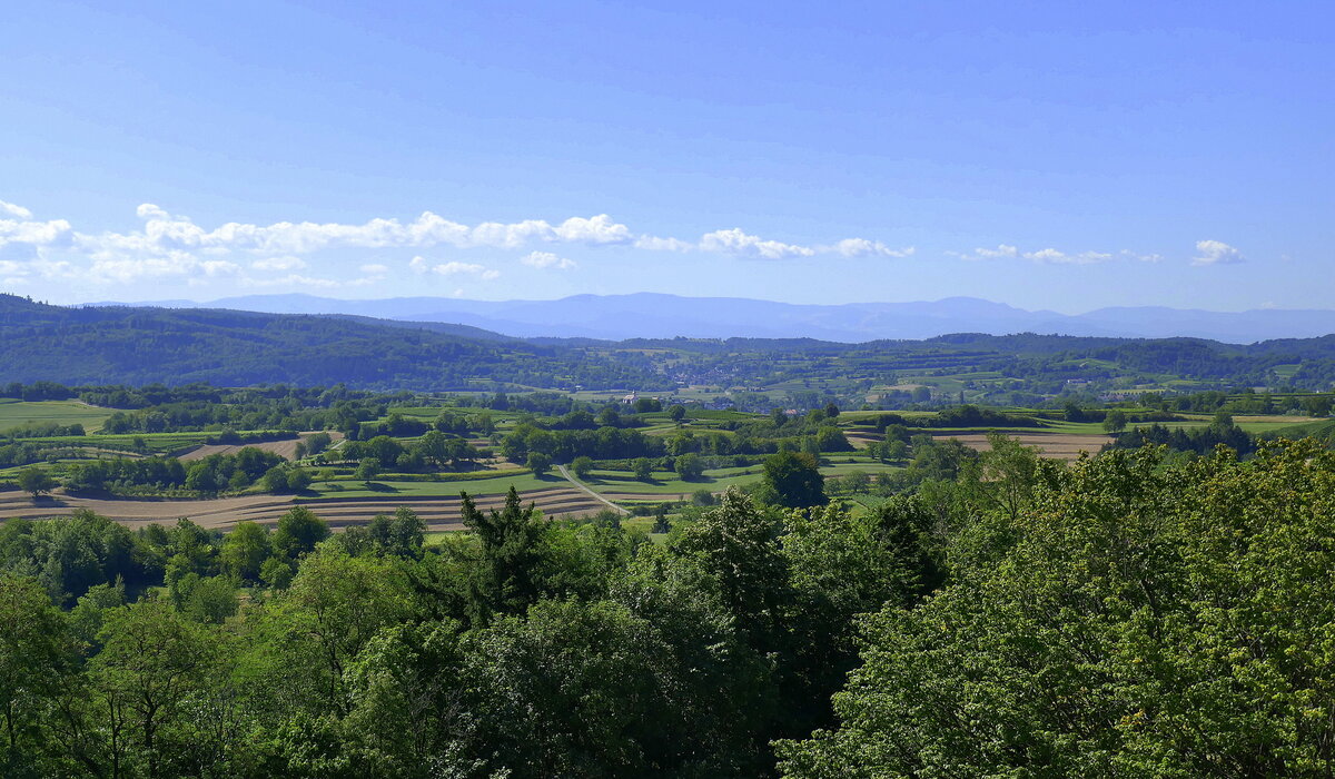 Blick von der Aussichtsplattform auf dem 282m hohen Heuberg bei Ettenheim nach Süden, über die Vorberge zum Schwarzwald, Aug.2022